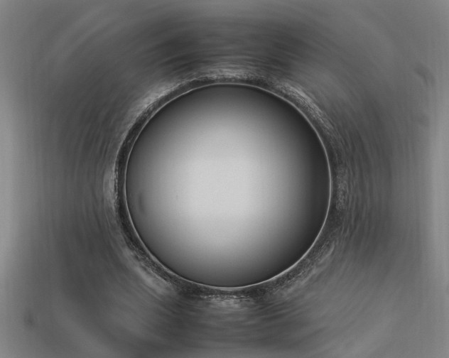 X0000113950439200909251342
