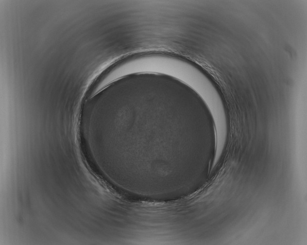 X0000113950440200909251342