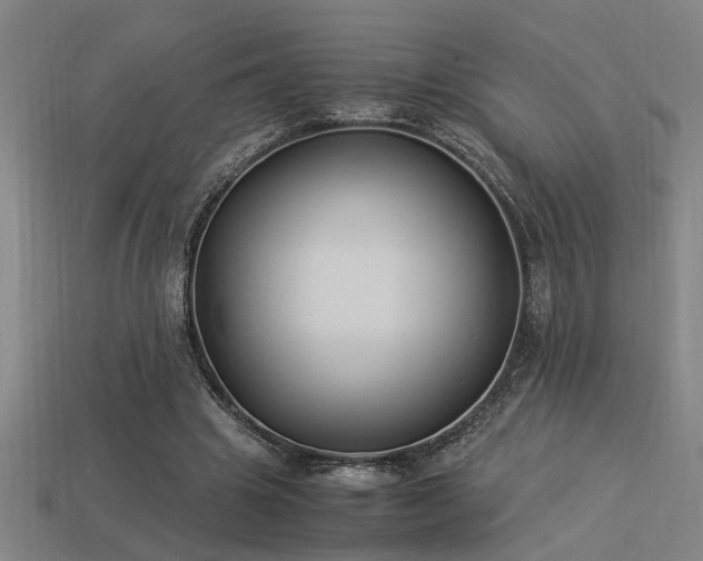 X0000113950441200909251342