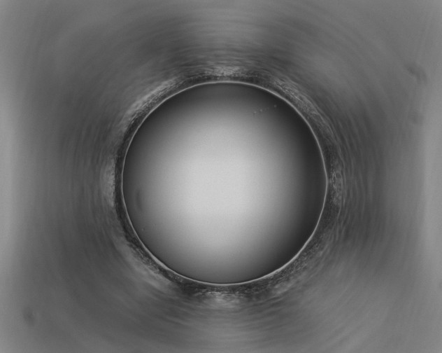 X0000113950442200909251342