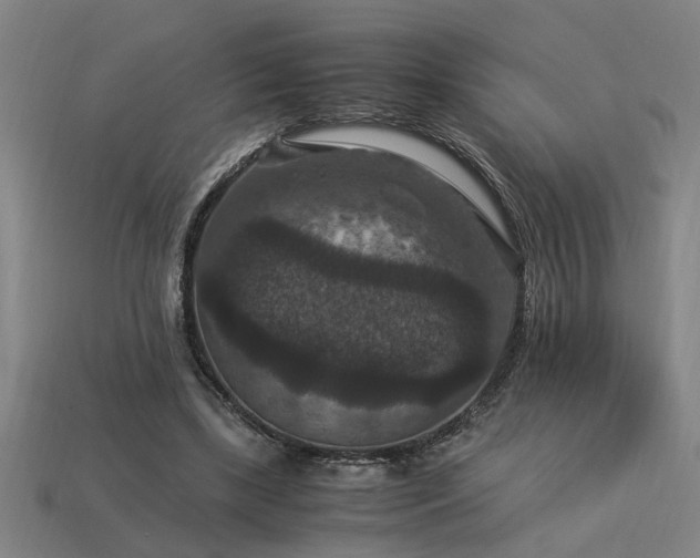 X0000113950443200909251342