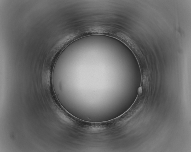 X0000113950445200909251342