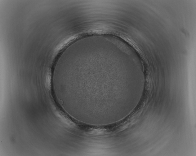 X0000113950446200909251342