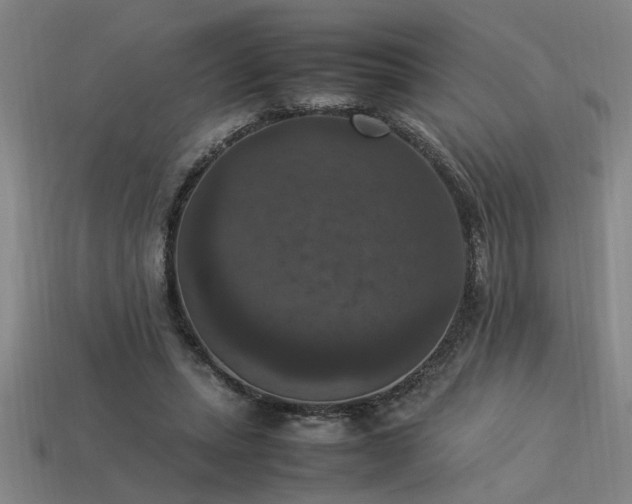 X0000113950447200909251342