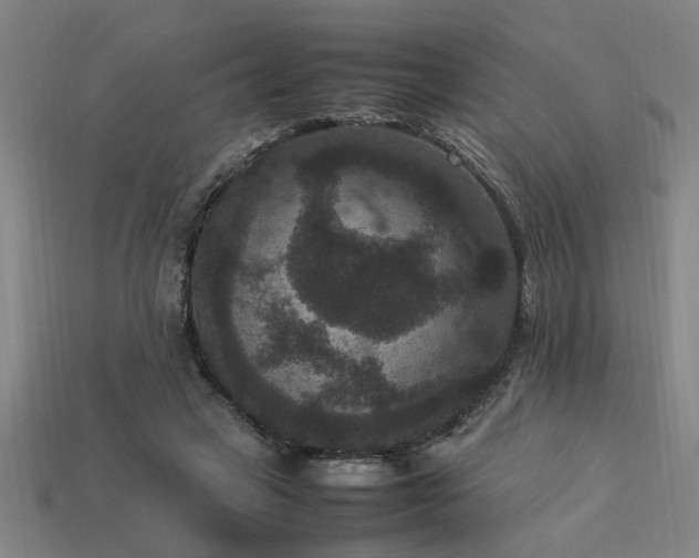 X0000113950449200909251342