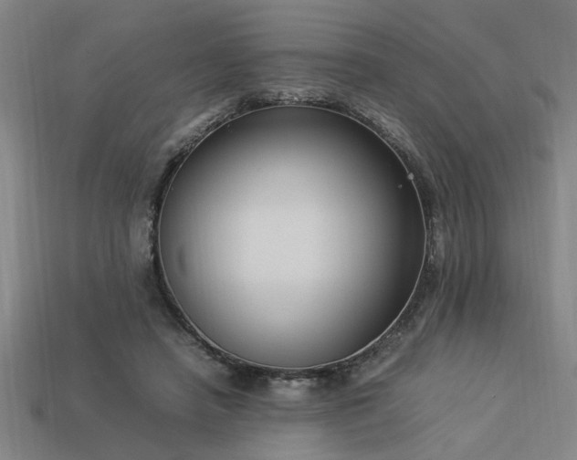 X0000113950450200909251342