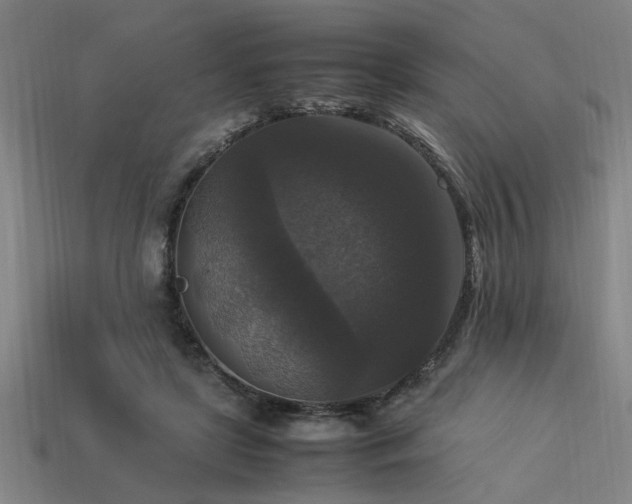 X0000113950451200909251342