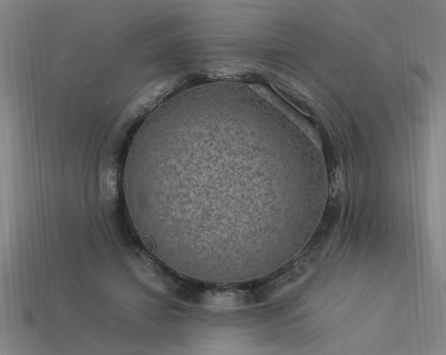 X0000113950452200909251342