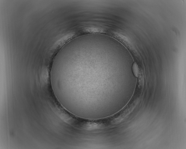 X0000113950453200909251342