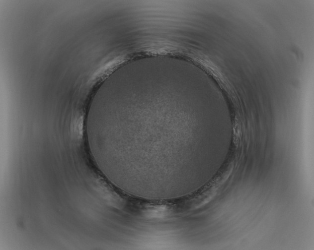 X0000113950454200909251342