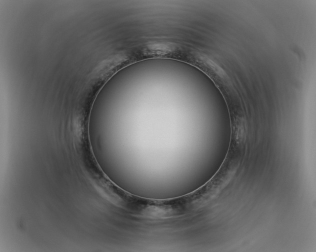 X0000113950455200909251342