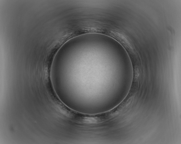 X0000113950457200909251342