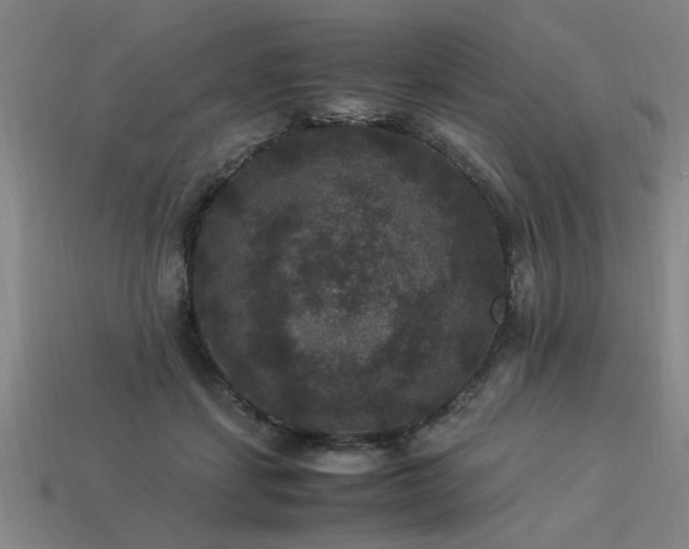 X0000113950459200909251342
