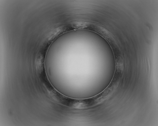 X0000113950460200909251342