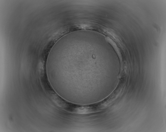 X0000113950461200909251342