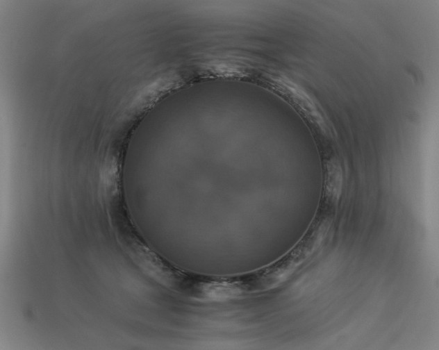 X0000113950465200909251342