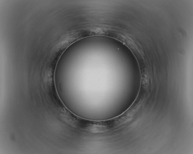 X0000113950466200909251342