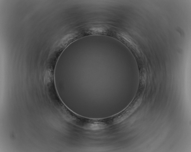 X0000113950467200909251342
