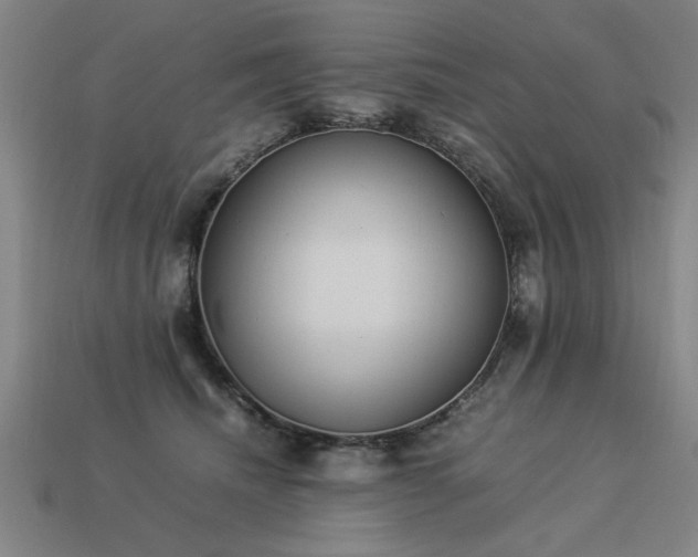 X0000113950468200909251342
