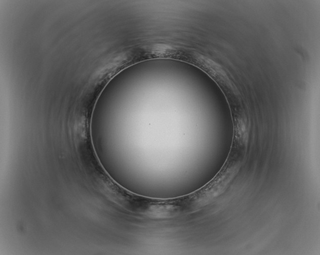 X0000113950470200909251342