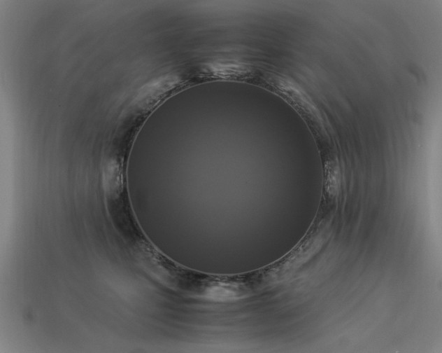 X0000113950471200909251342