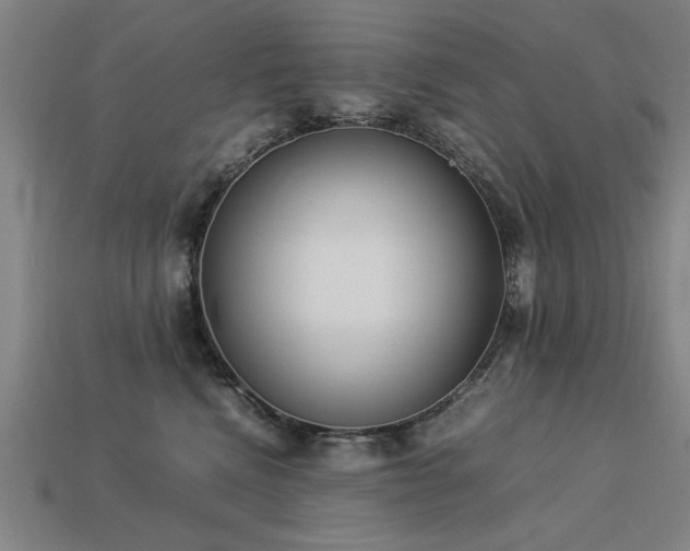 X0000113950472200909251342