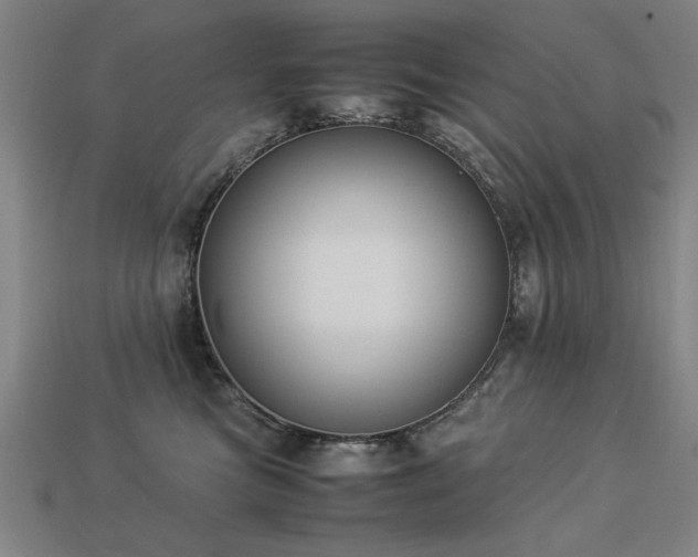 X0000113950473200909251342