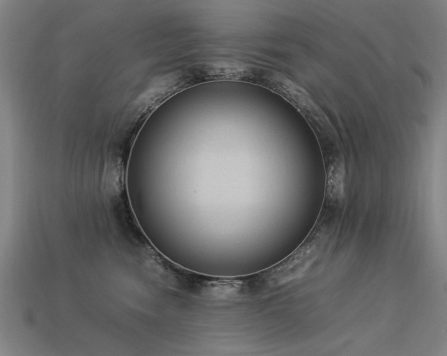 X0000113950474200909251342
