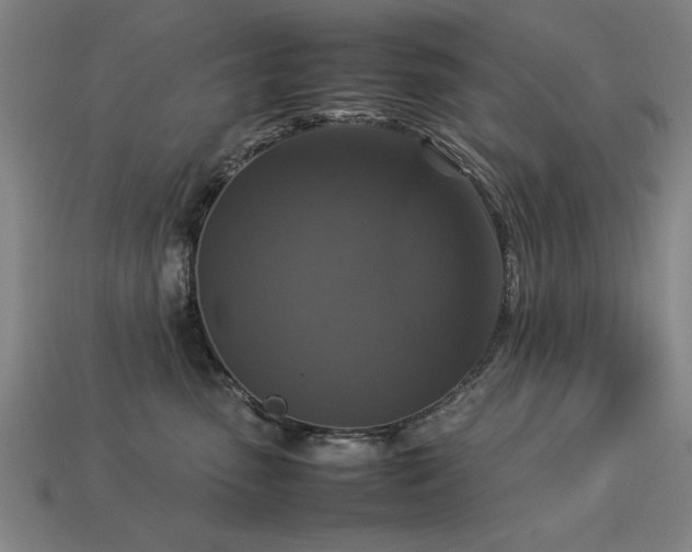 X0000113950475200909251342