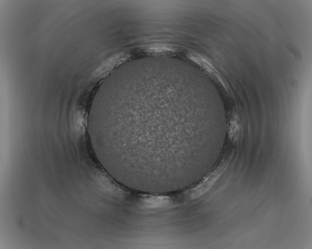 X0000113950476200909251342