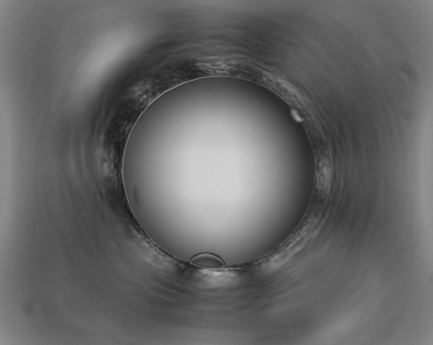 X0000113950477200909251342