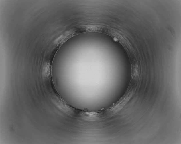 X0000113950478200909251342