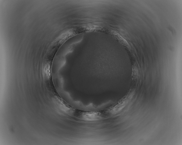 X0000113950479200909251342
