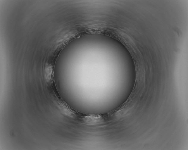 X0000113950480200909251342