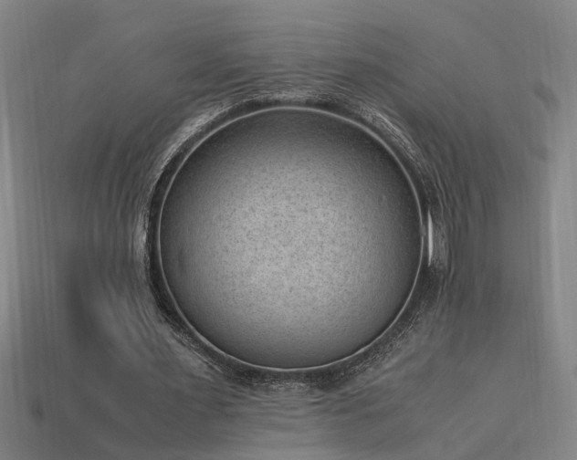 X0000113950483200909251342