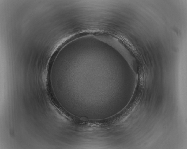 X0000113950484200909251342