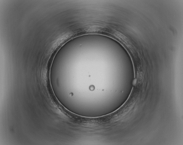 X0000113950485200909251342