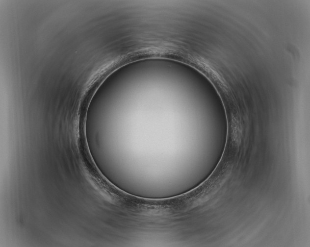 X0000113950486200909251342