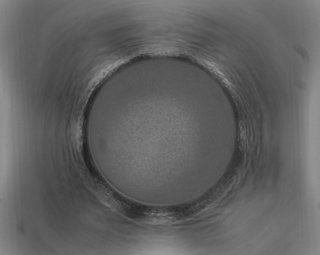 X0000113950487200909251342