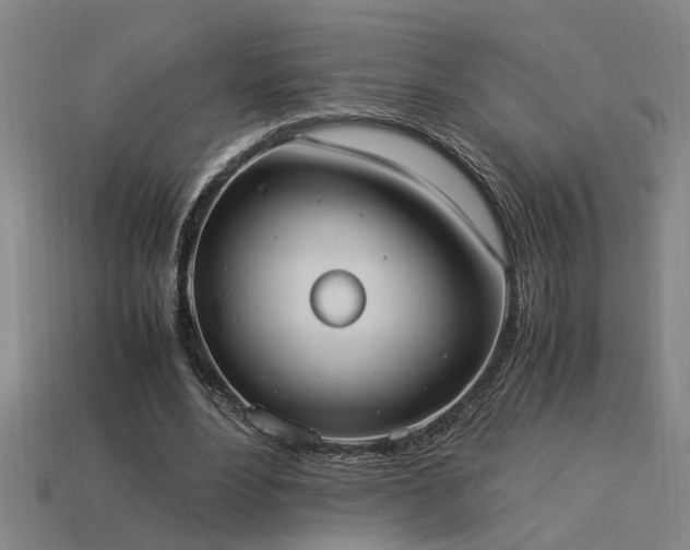 X0000113950488200909251342