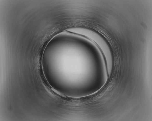 X0000113950489200909251342