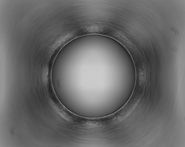 X0000113950490200909251342