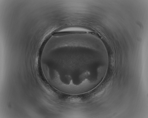 X0000113950491200909251342