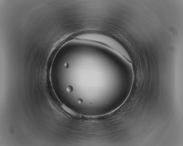 X0000113950492200909251342