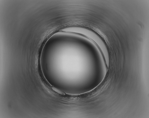 X0000113950493200909251342