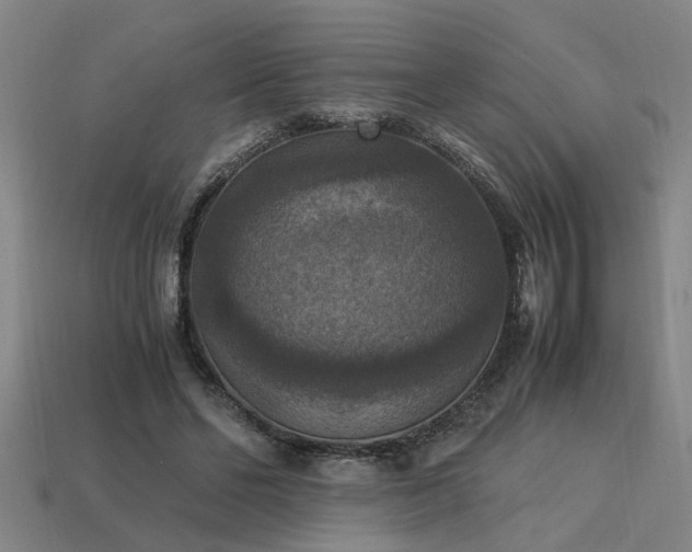 X0000113950494200909251342