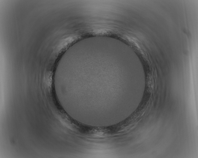X0000113950495200909251342