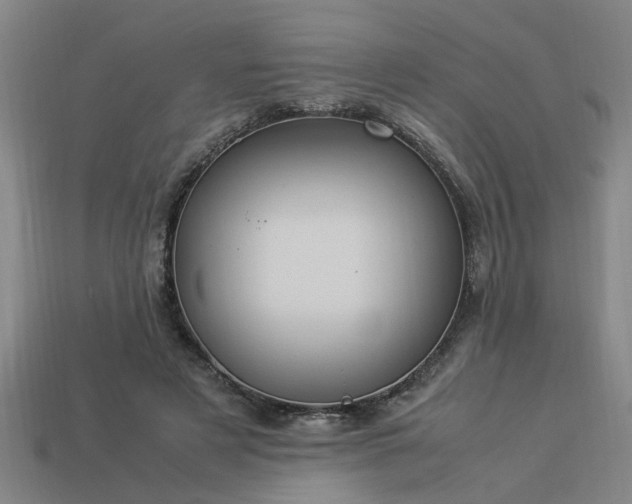 X0000113950497200909251342