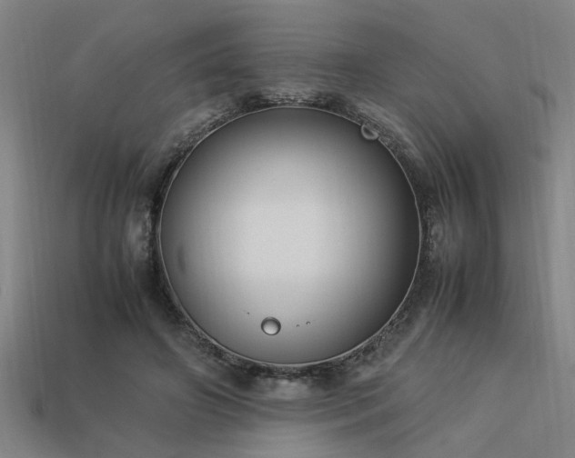 X0000113950498200909251342