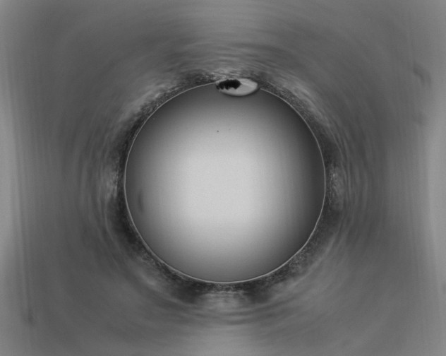 X0000113950499200909251342